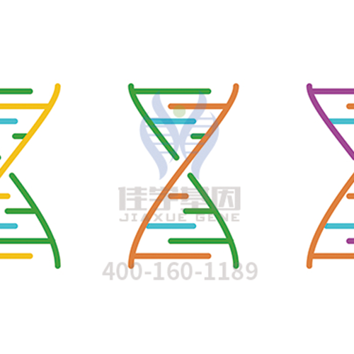 【眼科遗传病】<font color='red'>BEST</font>病基因解码、<a href=http://www.bztcly.com/tk/jiema/cexujishu/2021/31933.html>基因检测</a>
